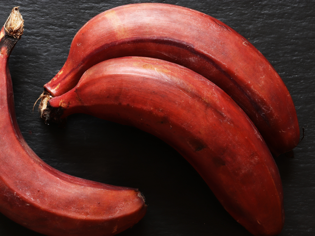 Dacca Banana: How to Grow at Home – A Beginner’s Guide