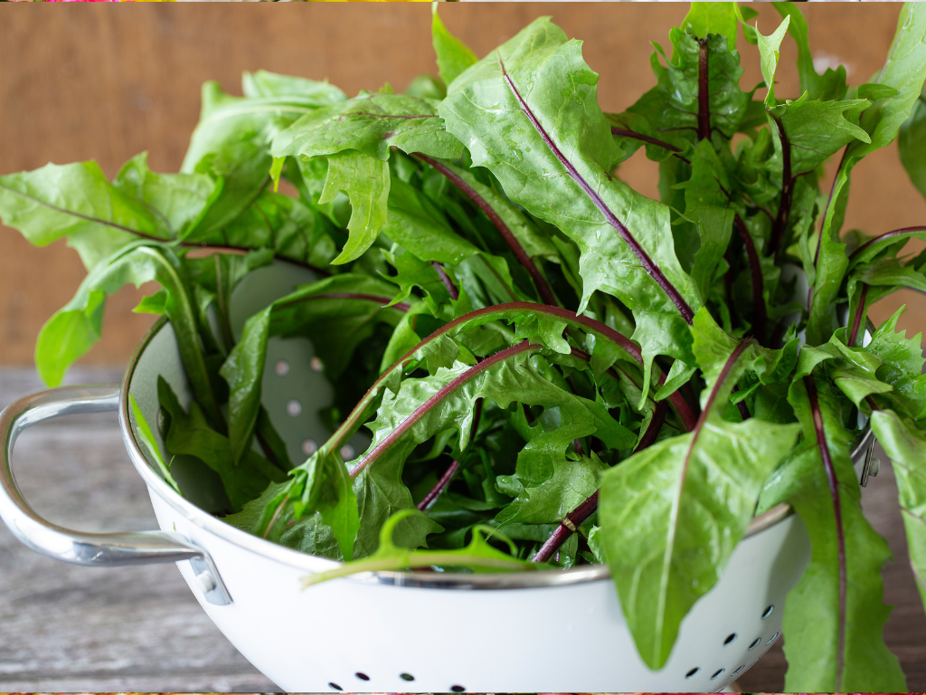 Dandelion Herb Tea: How to Make and Enjoy This Nourishing Brew
