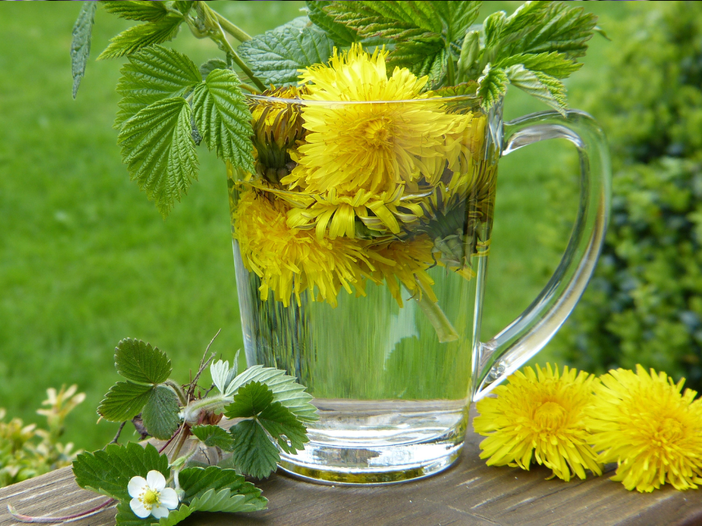Dandelion Herb Tea Recipe: Make a Nourishing Brew Step by Step